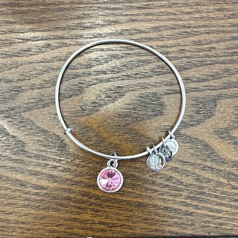 Alex and Ani Silver Bangle with Pink Charm